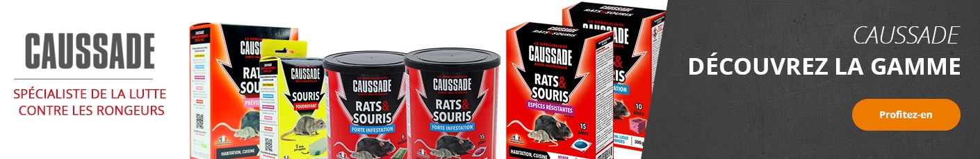 Caussade